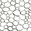 Cell Water Organic Texture Element from Textures - Organic Set
