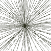 Texture Shine Highlight Element from Textures - Organic Set