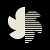 Flower Bloom Half Stripe element - Free transparent PNG, SVG. No Sign up needed.