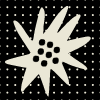 Sun Flower Polka Dot element - Free transparent PNG, SVG. No Sign up needed.