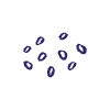 Abstract Dot Rice Element from Scribbles - Sketch Style Set