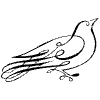 Bird Element from Symbols - Flourishes Set