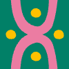 Chromosome Element from Patterns Tiles - Color Set