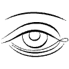 Eye Element from Symbols - Flourishes Set