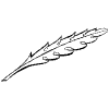 Feather Element from Symbols - Flourishes Set