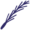 Grass Plant Doodle Element from Scribbles - Sketch Style Set