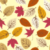 Leaf 2 Element from Backgrounds - Seamless Set