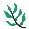 Leaf 6 Element from Doodles - Flat Set