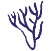 Nature Foliage Coral 3 Element from Scribbles - Sketch Style Set