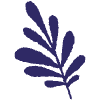 Nature Foliage Leaf 11 Element from Scribbles - Sketch Style Set