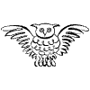 Owl Element from Symbols - Flourishes Set