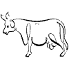 Ox Element from Symbols - Flourishes Set
