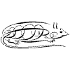 Rat Element from Symbols - Flourishes Set