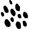 Repeating Sheetah Pattern Element from Scribbles - Sketch Style Set