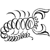 Scorpio Element from Symbols - Flourishes Set