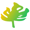 Shape Leaves Nature Caladium Element from Organic Shapes - Gradient Set