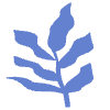 Shape Leaves Nature Dry Element from Organic Shapes - Flat Set