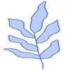 Shape Leaves Nature Dry Element from Organic Shapes - Filled Set