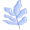 Shape Leaves Nature Dry Element from Organic Shapes - Combo Set