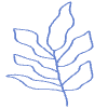 Shape Leaves Nature Dry Element from Organic Shapes - Line Set