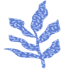 Shape Leaves Nature Dry Element from Organic Shapes - Texturized Set