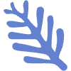 Shape Leaves Nature Fan Element from Organic Shapes - Flat Set