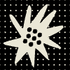 Sun Flower Polka Dot Element from Patterns Tiles - Monochrome Set