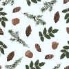 Winter Speciments 1 Element from Backgrounds - Seamless Set