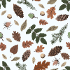 Winter Speciments 2 Element from Backgrounds - Seamless Set