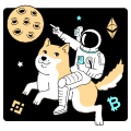 Astronaut Riding Doge