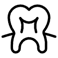 Dental Xray Icon from Ultimate Light Set | Free Download as SVG Vector and Transparent PNG | Streamline icons