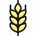 Farming Wheat Icon from Ultimate Colors Set | Free Download as SVG Vector and Transparent PNG | Streamline icons