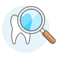 Dentistry Tooth Examine