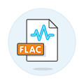 File Sound Flac