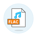 Format File Flac