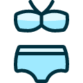 Underwear Bikini Icon from Ultimate Duotone Set | Free Download as SVG Vector and Transparent PNG | Streamline icons