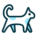 Cat Icon from Ultimate Duotone Set | Free Download as SVG Vector and Transparent PNG | Streamline icons