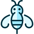 Flying Insect Bee Icon from Ultimate Duotone Set | Free Download as SVG Vector and Transparent PNG | Streamline icons