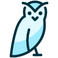 Wild Bird Owl Body Icon from Ultimate Duotone Set | Free Download as SVG Vector and Transparent PNG | Streamline icons