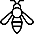 Flying Insect Bee 2 Icon from Ultimate Light Set | Free Download as SVG Vector and Transparent PNG | Streamline icons