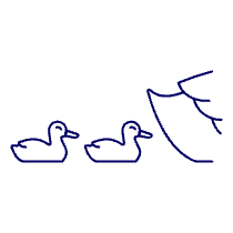 Baby Goose Illustration from UX Line Set
