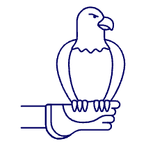 Eagle Gauntlet 1 Illustration from UX Line Set