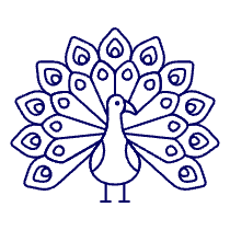 Peacock Illustration from UX Line Set