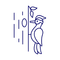 Woodpecker Illustration from UX Line Set