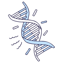 Dna 1 Illustration from Bruxelles Duotone Set