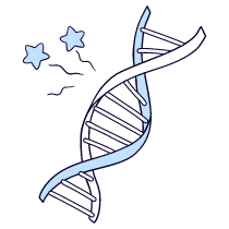 Dna 4 Illustration from Bruxelles Duotone Set