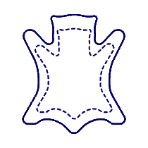 Leather PATCH Illustration from UX Line Set