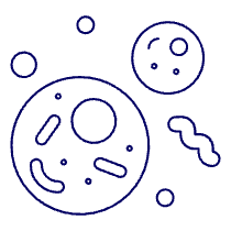 Cell Illustration from UX Line Set