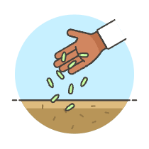 Hand Seeds 3 Illustration from UX Colors Set
