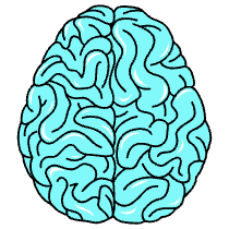 Brain Illustration from London Set